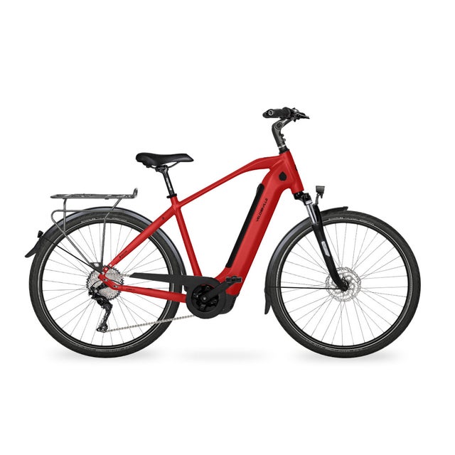 vintage fahrrad e bike Rayvolt Clubman E-Bike kaufen – Elektro E-Fahrrad mit Akku – Star-Biker Color:Light gray Mittlere Klebebeschriftung für Wäschekorb Equipped with 16 fat Eigenschaft:retro